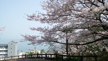 音無山公園