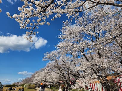宮川堤公園