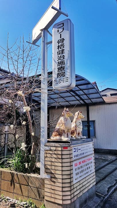 コリー骨格健治施療院